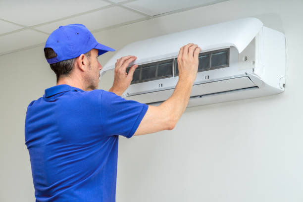 Air Duct Mold Removal in Glenolden, PA